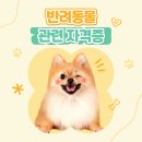 주부 이미지