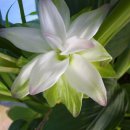 재만농장 이미지