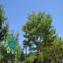 계명당고개 대한독립 이미지