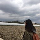 삼례도서관 내 이미지