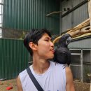 호주프렌즈 | 2026 호주 브리즈번 근교 말레니 보태닉 가든스 &amp; 버드월드 방문 후기 및 총정리