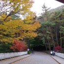 자연보호헌장기념비 이미지