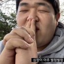 타코,봄 이미지