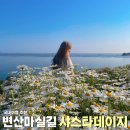 5월 가볼만한곳 부안 샤스타데이지 변산마실길 2코스 국내여행 명소 추천