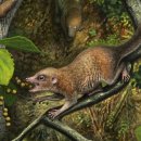 EFC PC ZONE 이미지