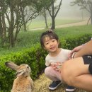 뽀로로&타요 테마파크 수영장 이미지