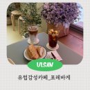 동울산가방 | 울산 유럽 감성 카페 남구 삼산동 신상 포레바게 바게트 내 돈 내산 솔직 후기