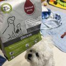 소문난 강아지 | 입짧은 퍼피도 잘먹는 강아지 소프트 사료, 플래티넘 소프트 퍼피 치킨 리얼 후기