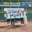 [도슈 사용기] 테니스화 바닥 보강제