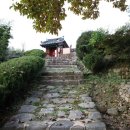 곡성-228 Daum카페