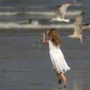 어떤 꿈 - I 이미지