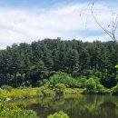 봄향기 가득 젠탱글 중급 | 🌲 잣향기푸른숲에서 시작하는 축령산 최단등산코스 후기｜피톤치드 가득한 힐링 산행