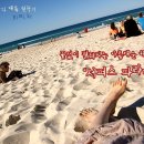 파라다이스 Daum카페