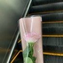 리오당구장 이미지