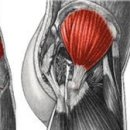 올바름핏PT센터 이미지
