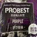 옐로우퍼플프로젝트
