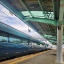 웅천카서비스 | [여수 2박3일 여행] #1일차 여행 (웅천부일식당, 종화동 카페, 구봉만두, 노랑고래)