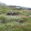 동해물과백두산이 이미지