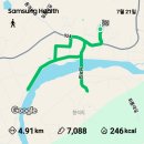 안개낀성저교운동을농협민생지원금신청임화순못안할매가쏜닭도리탕저녁식사를만보인증♡걷기운동 14,091보10.82km 이미지