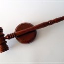 에스엘(SL) 이미지