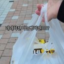 영종대로278번길 이미지