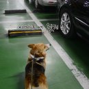 이리온 양재점 이미지