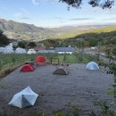 용구니아지트 이미지