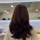 헤어블레스 | 석촌역미용실 추천; 예약제 미용실 '블레스헤어' 후기