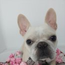 평화미용실 이미지