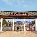 하마수입 이미지