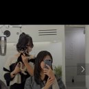 다솜애견미용실 | 홍대상수 애견동반 미용실