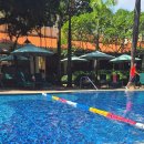 라파약국 | 마카오반도. 호텔 아티젠 그랜드 라파 마카오 수영장 &amp; 타이 레스토랑 NAAM