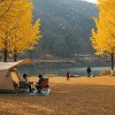 벚꽃마을세종경로당(휴지) | [캠핑장 &amp; 글램핑장] 경기도 여주시 캠핑장 및 글램핑 추천 가이드(25년)