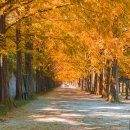 담양여행 이미지