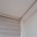 신재초등학교 이미지