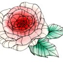 건행유통 네이버블로그
