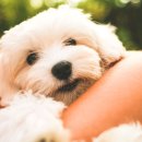 설립누리 행정사사무소 이미지