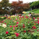 중랑화원 이미지