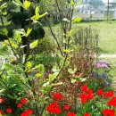 신미주공인중개사사무소 이미지