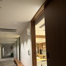 휘닉스호텔 | 호텔 어라운드 평창 후기｜휘닉스파크 스키장 근처 숙소, 조식 포함 솔직 리뷰