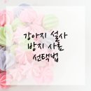 마음사랑동물병원 이미지