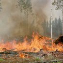 오일농장 이미지