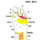 누가페 네이버블로그