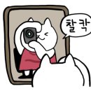 에이룸헤어살롱 네이버블로그
