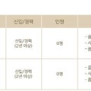 루이까스텔서울 이미지