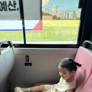 스콜라몬테소리세종새롬점 네이버블로그