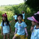 경산초교 병설유치원 이미지