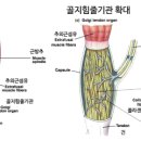 고유지 이미지
