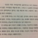 알라카트 이미지