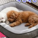 상동환경